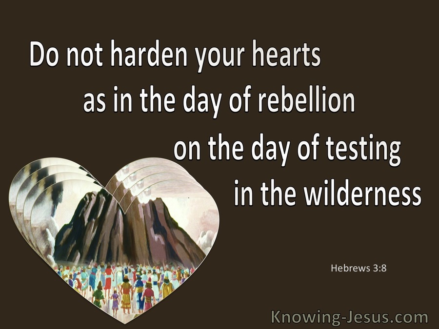 Hebrews 3:8 Do Not Harden Your Hearts As In The Wilderness (brown)
